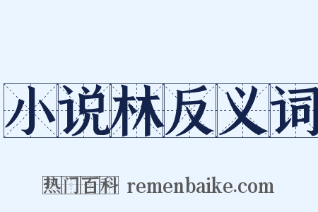 小说林反义词是什么意思的图片